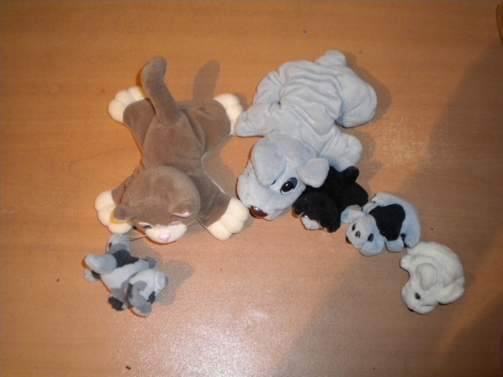 Bild 5 von 6