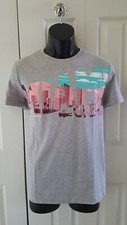 Lacoste Men's Miami Open Miami Graphic T-shirt Gray TH7745