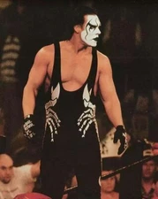 STING WCW Photo Reprint, Fridge Magnet, Decal or Glossy Metal Sign