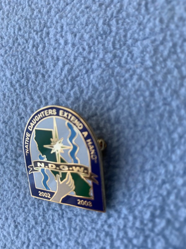 2002-2003 Native Daughters of the Golden West NDGW Logo Lapel Hat Jacket Pin