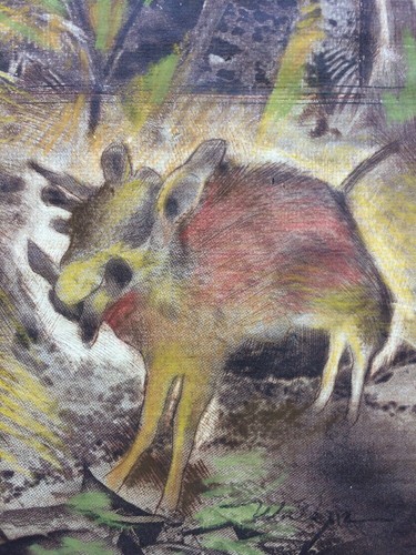 Affe und Wildschwein im Dschungel Mixed Media - Bild 5 von 9