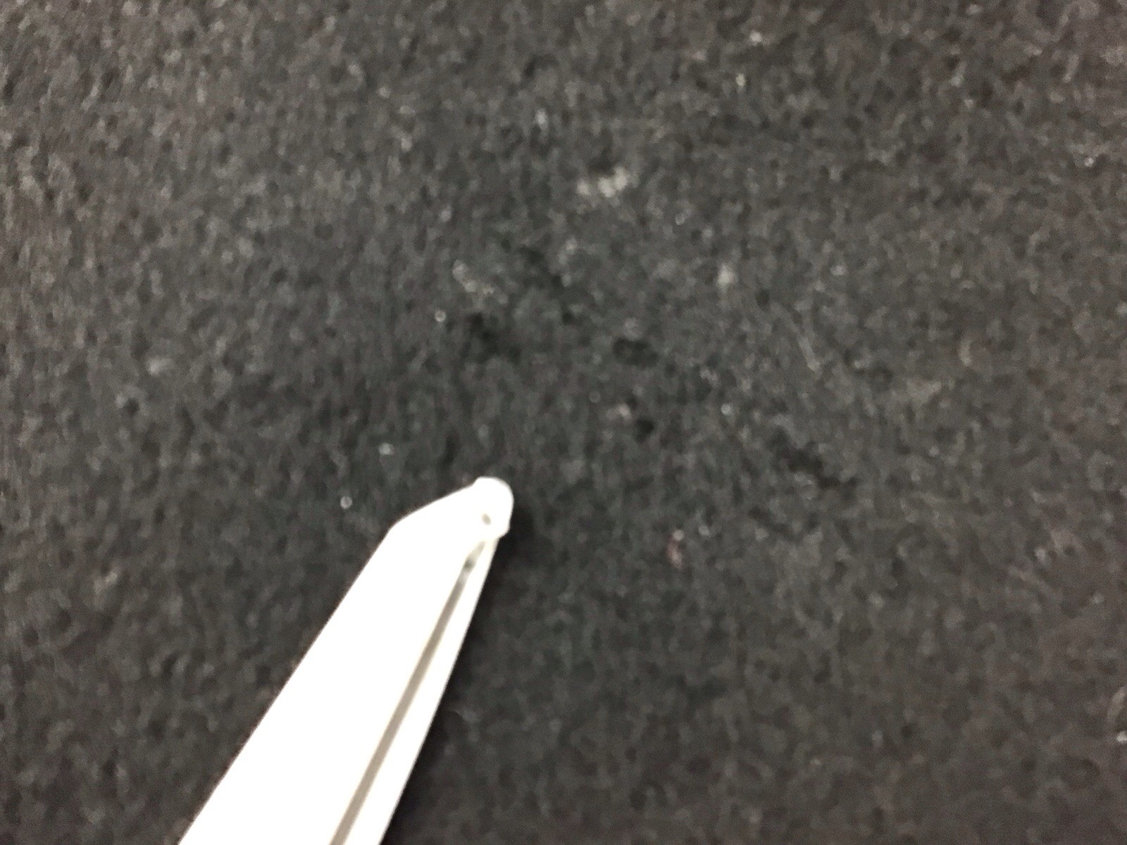 Picture 22 of 23