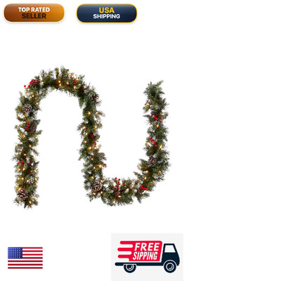 National Tree Company 9 Ft Pre-Lit Frosted Berry Artificial Christmas Garland
