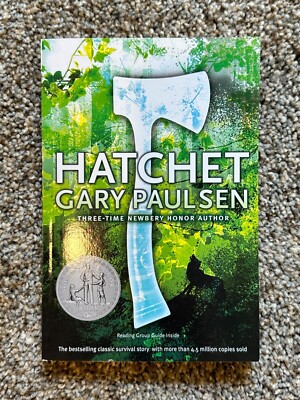 The River (A Hatchet Adventure) - Paperback By Paulsen, Gary ...