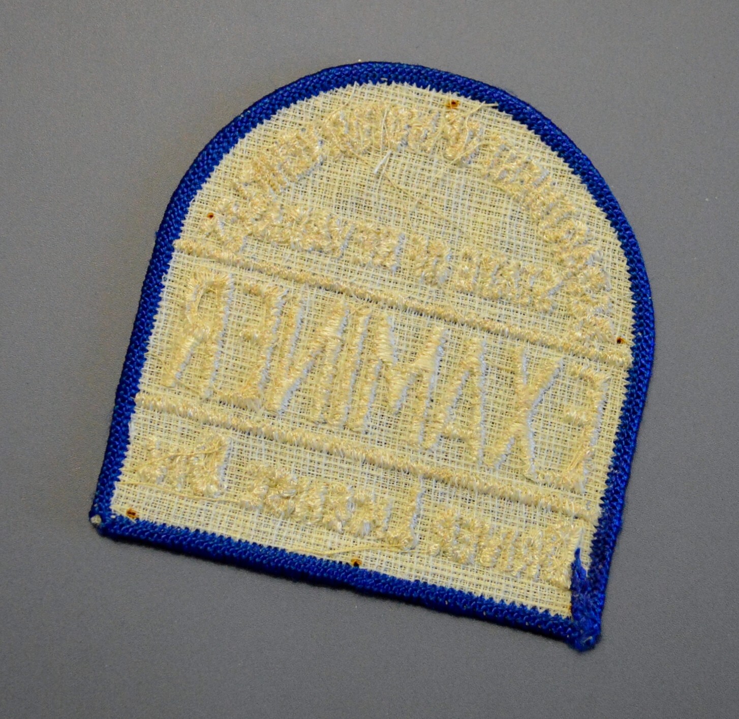 Nevada Dept. of Motor Vehicles Driver License Div. Examiner Patch ...