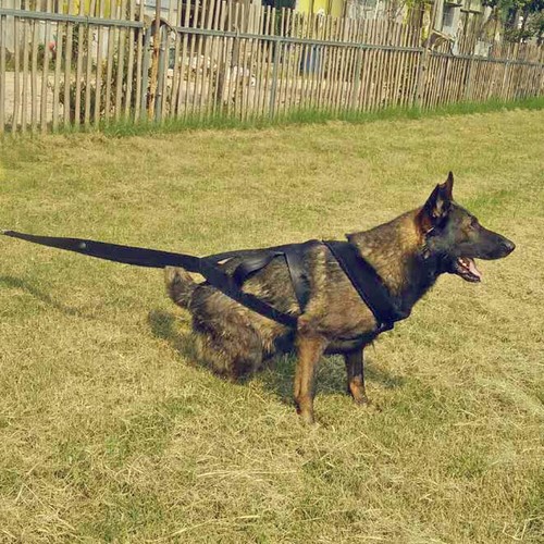 Gilet da lavoro slitta da traino per cani X-Back in nylon peso forte - Foto 14 di 17