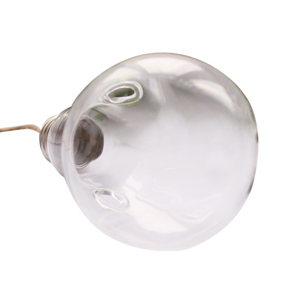 Hanging Glass Bulb Vase for Hydroponics Wall Planters