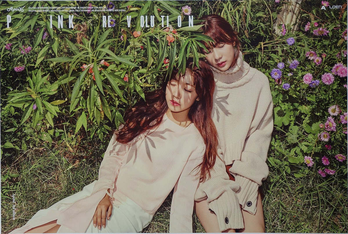 Pink Revolution (Vol 3) by Apink (CD, 2016) for sale online | eBay
