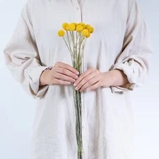 CalCastle Craft 30 Stems Natural Yellow Billy Balls aka Craspedia for Bouquets,