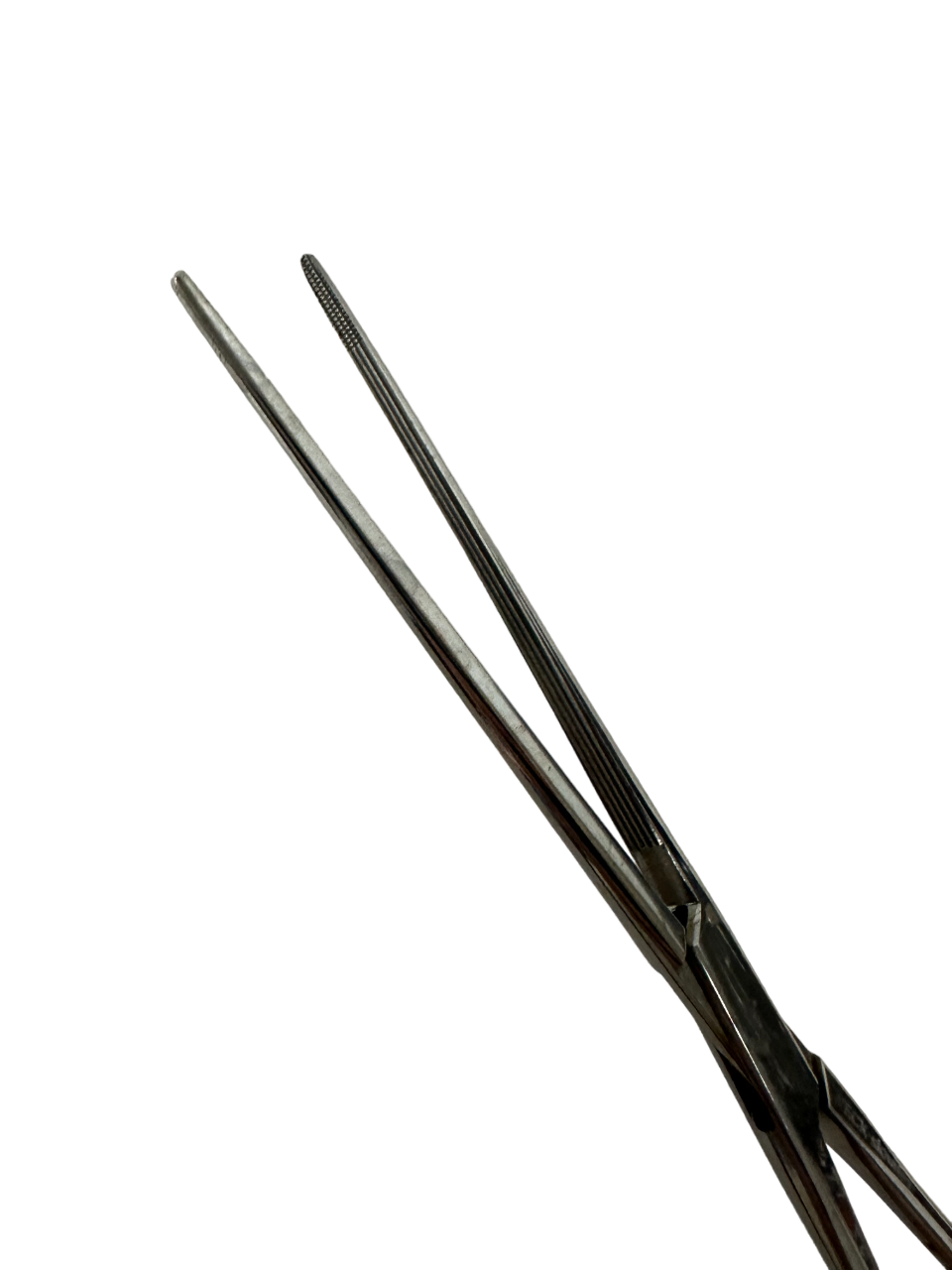 Foto 3 di 3