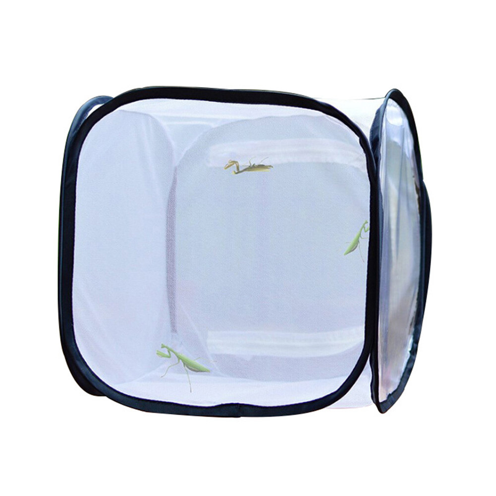 Housing Mantis Butterfly Chameleon Insect Cage Enclosure Trap Cage Box ...