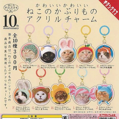 Cute Cat Hood Acrylic Charm 10 types Comp Set / Capsule toy Gachapon