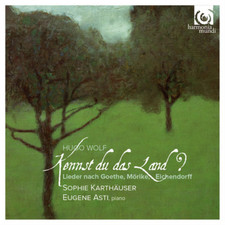 Hugo Wolf Hugo Wolf: Kennst Du Das Land CD Album UK IMPORT 
