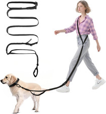 Hundeleine lang 2.5m mit Verstellgurt Bungee Reflektor für Klein bis Großhunde