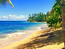 Sun Beach Sand Waves Shore -Tropical Seascape PRINTABLE Wall Art for your space!