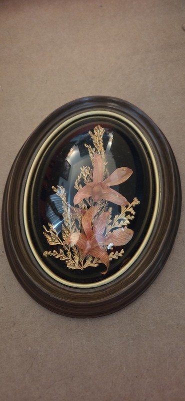 Sabura of Hawaii Framed Art with Real Hawaiian Flowers and Leaves, Oval Print