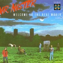 Welcome to the Real World von Mr.Mister | CD | Zustand gut