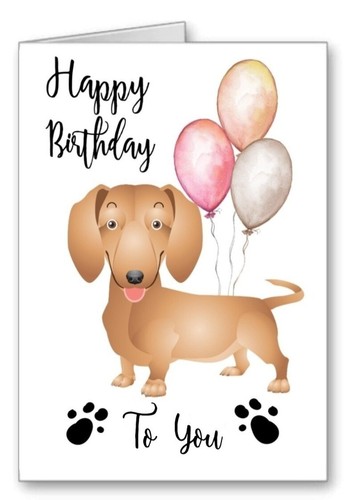 sausage dog dachshund birthday card happy birthday balloons ebay