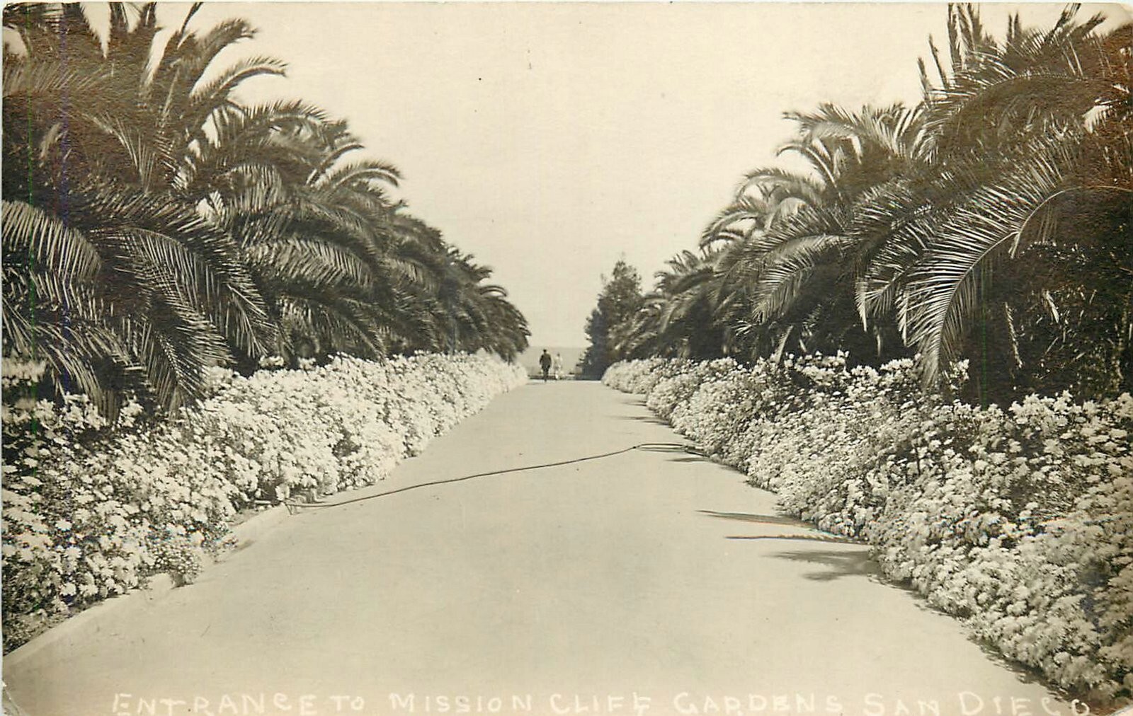C1910 San Diego California Entrance Mission Cliff Garden RPPC Postcard 25-3089