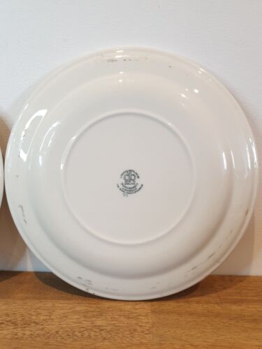 Platos de cena Dunn Bennett x 2 artículos de hotel colección Royal Doulton vitrificados 1980 - Imagen 5 de 10