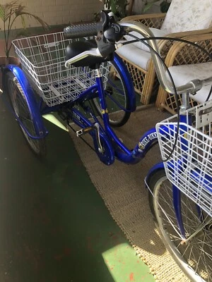 gumtree trike bike