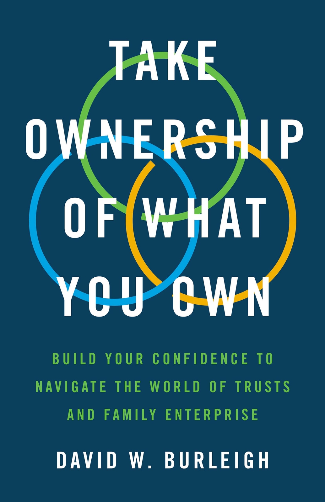David W Burleigh Take Ownership of What You Own (Copertina rigida)