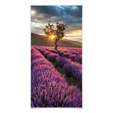 Poster Lavendelblüte in der Provence - Panorama Wandbild Trend Bild Wanddeko