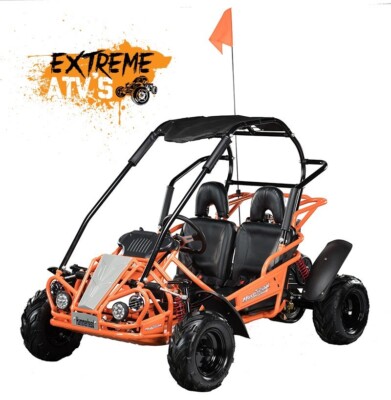 Off-Road buggy. Storm Buggies Hammerhead Mudhead 208R Kids 208cc