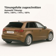 Tönungsfolie passgenau Audi e-tron GE Q8 / SQ8 03/2019-