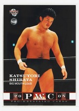 KATSUYORI SHIBATA - 2005 BBM Pro-Wrestling Trading Card