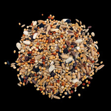 Gro&szlig;sittichfutter FEIN 5 kg Sittichfutter Vogelfutter Nymphensittichfutter