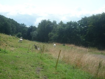 Foto A3 Bank im Gardiner's Quarry (Malvern Wells) Marke grün\/SO7641 um 2019