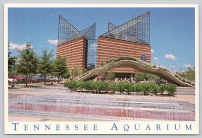 Tennessee TN Aquarium Chattanooga Postcard, Dan Reynolds Photography, 1990s