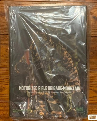 Motorized Rifle Brigade Mountain フィギュア Motorized Rifle Brigade Mountain フィギュア Armed forces of the