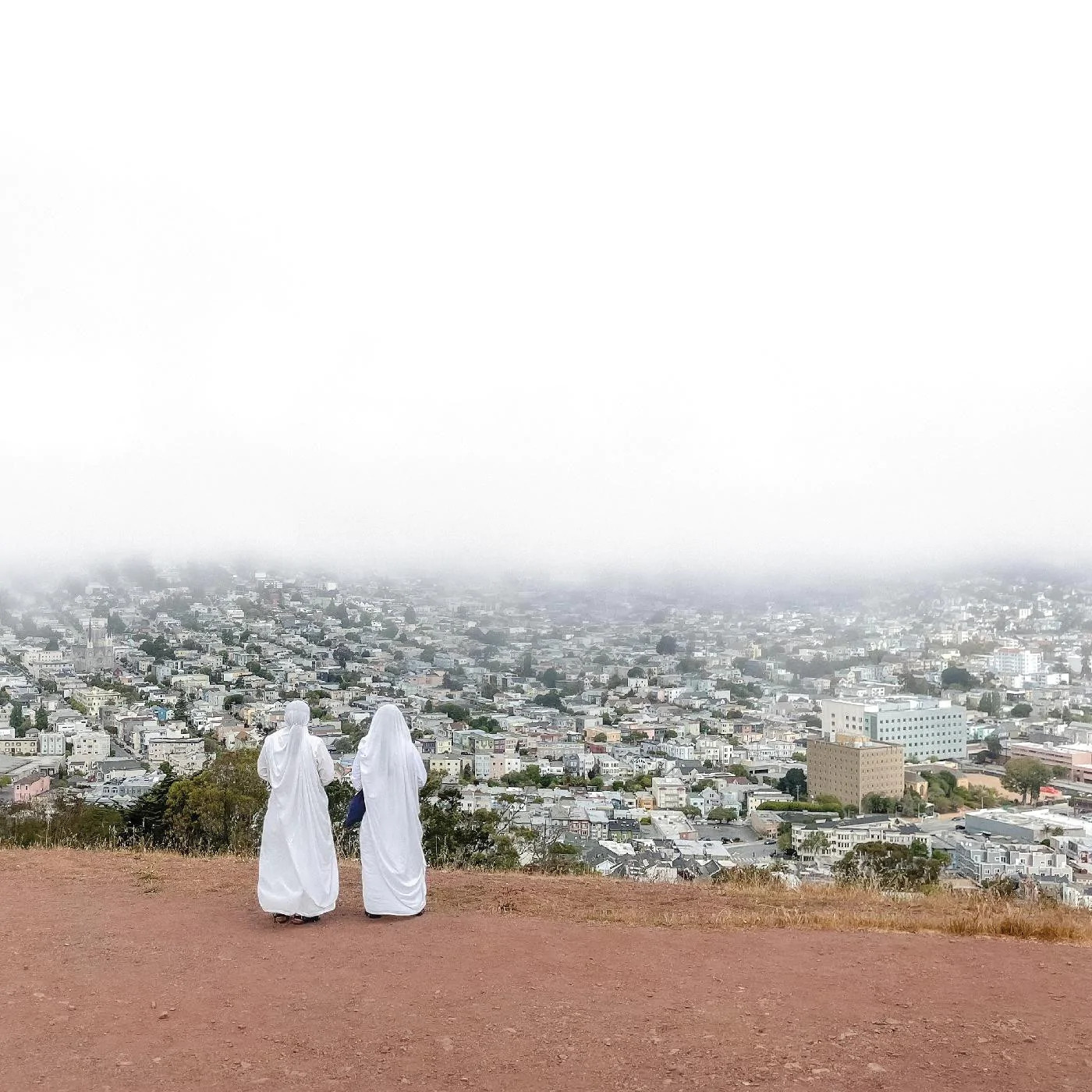 Death Cab for Cutie - Asphalt Meadows [Черный винил] - НОВЫЙ альбом на запечатанной виниловой пластинке