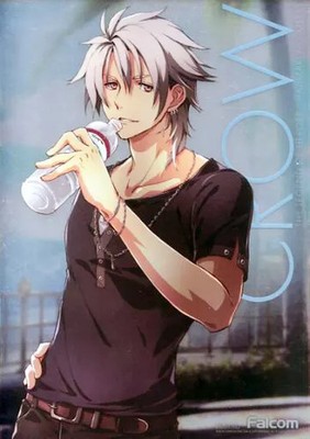 Nihon Falcom The Legend of Heroes Crow Armbrust Metallic A4 Poster PS4