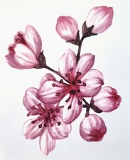 3 Pack- Cherry Blossom Temporary Tattoo -- Floral Scented 