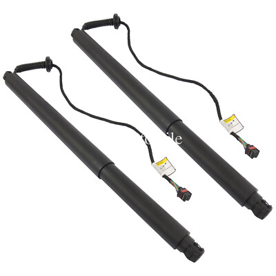 2X Elektrischer Motor Heckklappe für Volvo XC90 II 256 2016+ #31457610 31690604