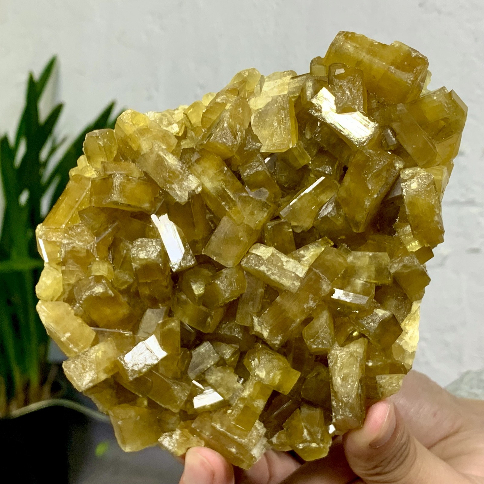 3.23LB Shiny Golden Cuboid Barite Crystal Based on the Purple Spherical Fluorite