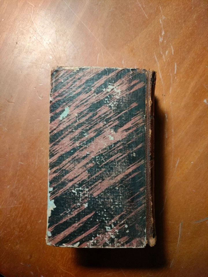 LA DIVINA COMMEDIA DI DANTE ALIGHIERI (VENEZIA 1852) CON NOTE DI PAOLO COSTA - Immagine 4 di 4