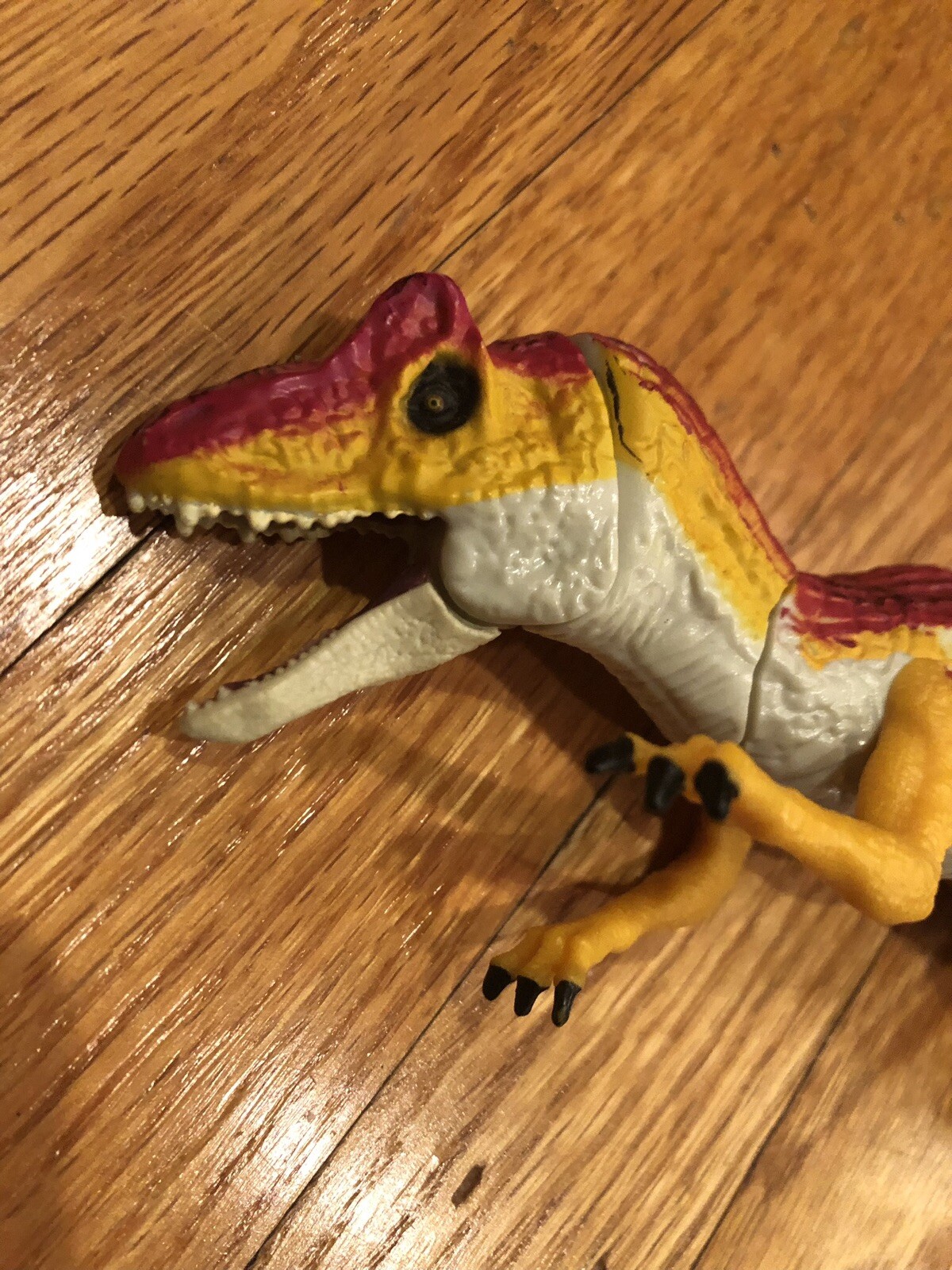 Picture 4 of 5