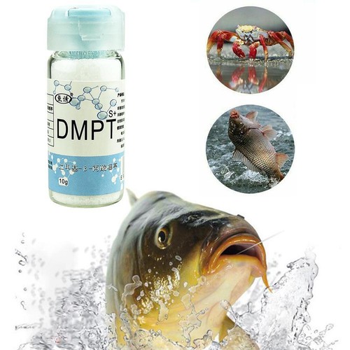 dmpt carp bait