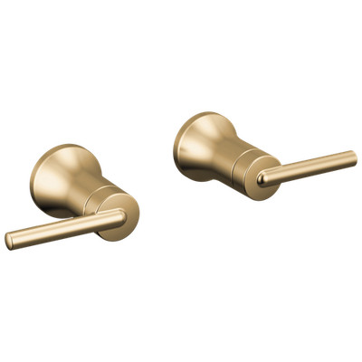 Delta Trinsic H557CZ Lever Handle -Wall Mount Lav - Champagne