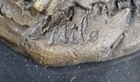 Bild 10 von 10