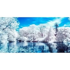5D DIY Diamond Painting Kits for Adults, Cpyress Forest Scene Full Drill Embroid