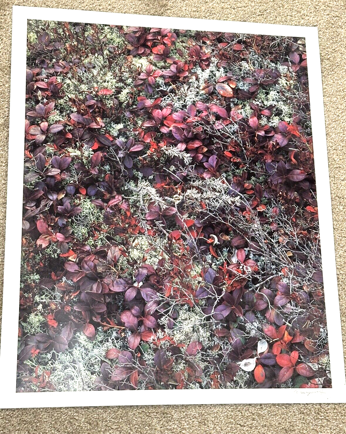 Picture 1 of 6