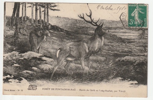 Chasse - 77* FONTAINEBLEAU chasse a courre -vautrait lebaudy MA104,0504