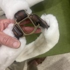 Leather And Brass Shipping Halter Real Sheepskin Fuzzies/ Bevals Sheepskin — photo 3