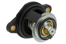 Thermostat Ford FIESTA
