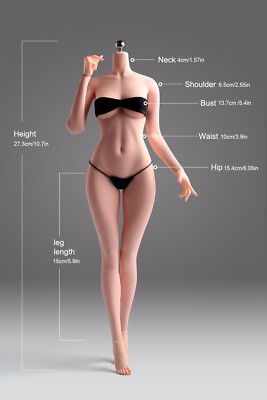 ZZYM505B Yi Rou 1/6 Woman Big Bust Pale Flexible Seamless Figure